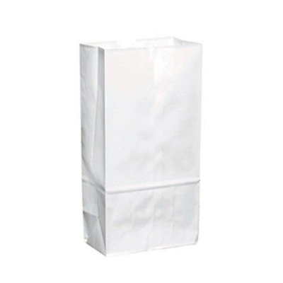 5LB WHITE PAPER BAGS